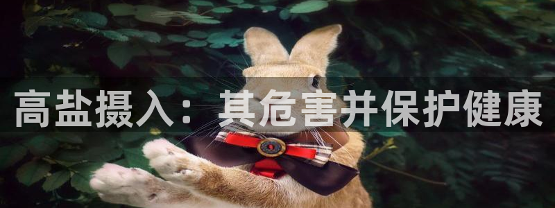 威九国际APP下载