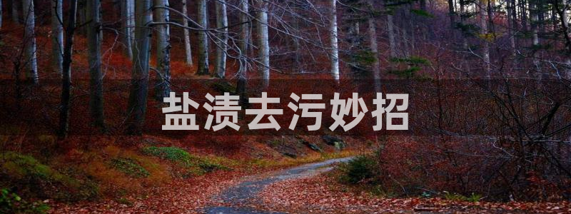 78m.ppt威九国际官网版