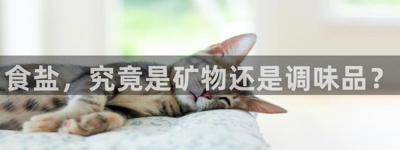 威九国际发布新版eBzxin2Tp
