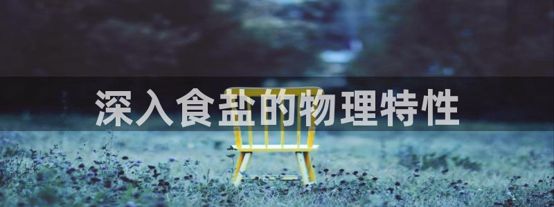 威九国际男主