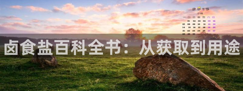 威九国际app大全下载安装