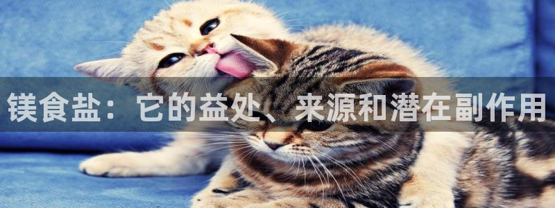 威九国际宣传片