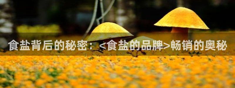 威九国际官网在线进入网站查询网址