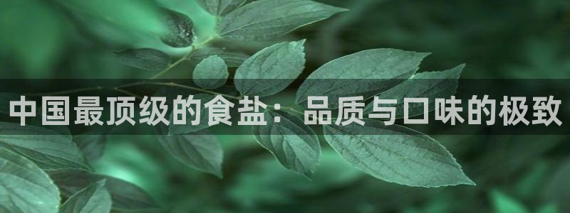 威九国际网站入口官网游戏推荐