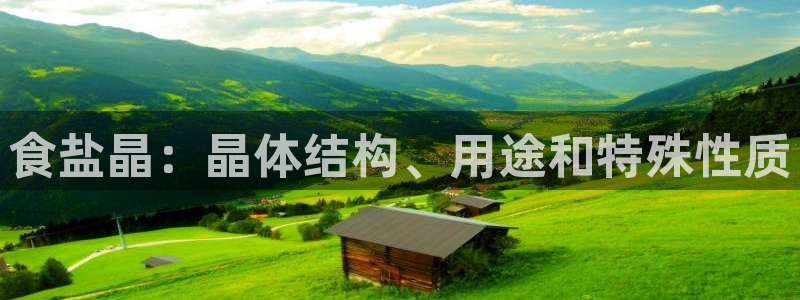 威九国际网站入口官网首页