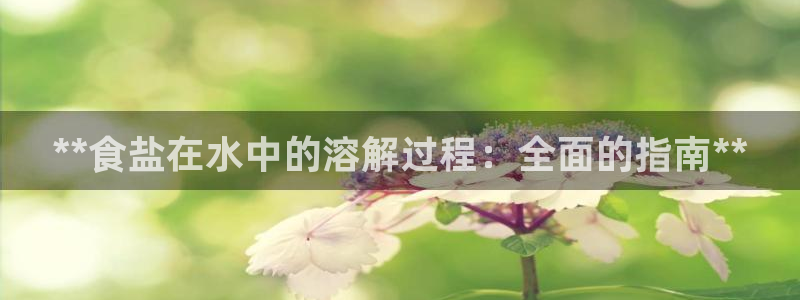 威九国际游戏app(网站)