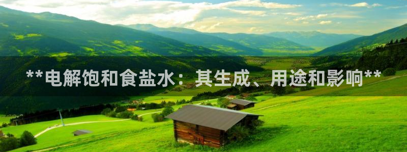 保定威九网络科技有限公司