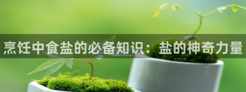 威九国际电视怎么样