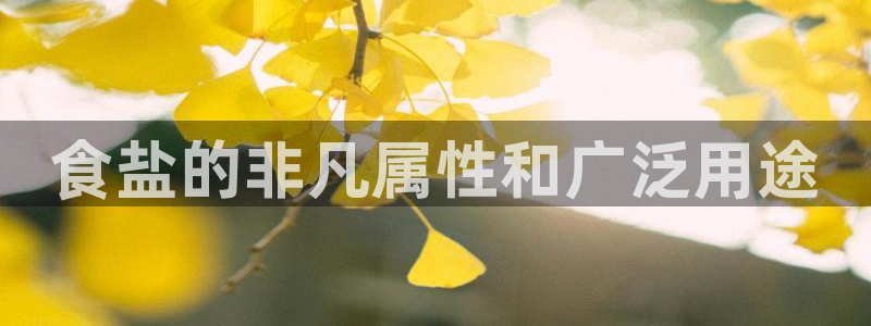 威九国际女艺人
