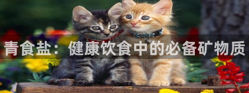 威九国际可以退钱吗怎么退款