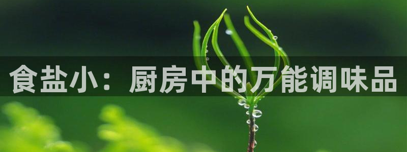 威九国际网站入口官网免费