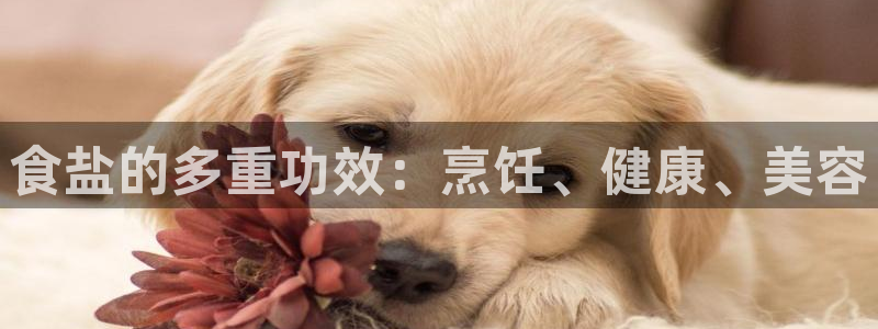 威九国际里的长头发帅哥名字