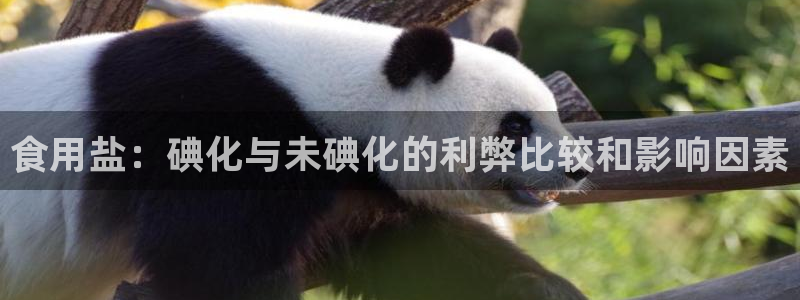 威九国际最受欢迎的功能