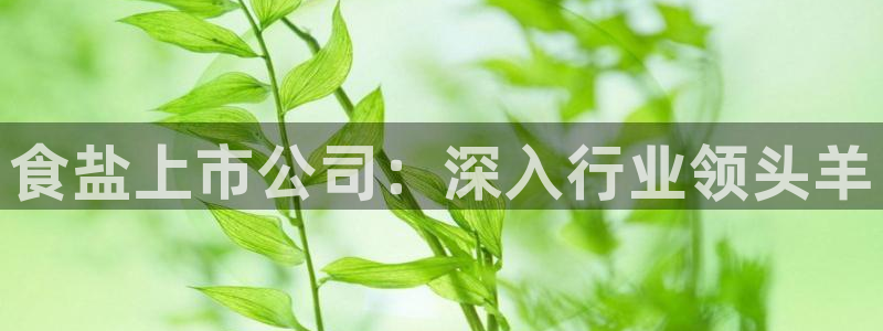 威九国际ppt免费下载