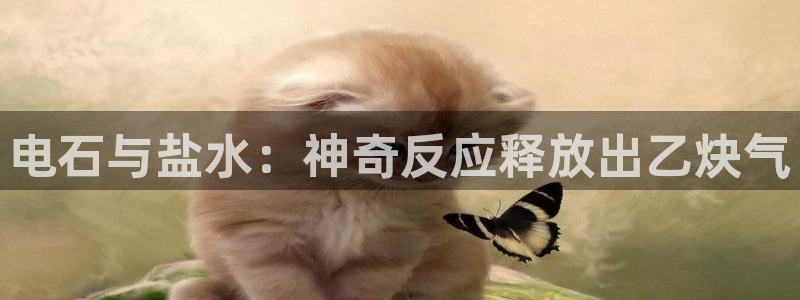 威九国际游戏网站