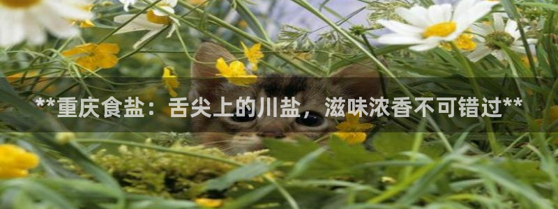 威九国际官方入口