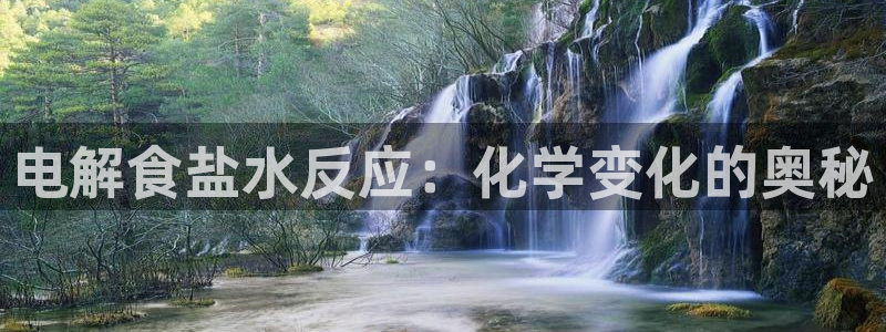 威九国际78mb42- MBA中文