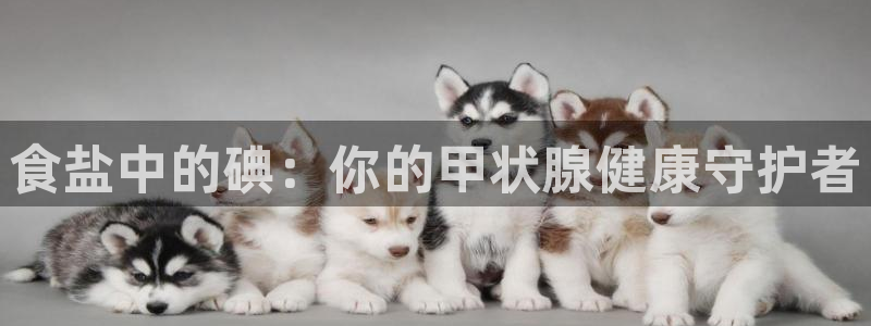 威九国际app入口在哪