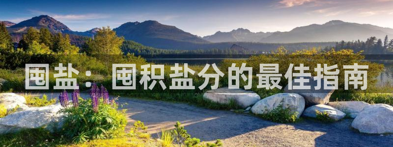 威九国际免费版