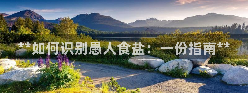 威九国际网站入口地址查询