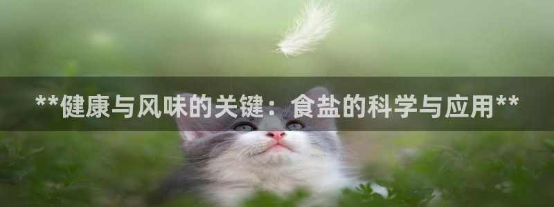 威九国际网站经常打不开怎么办