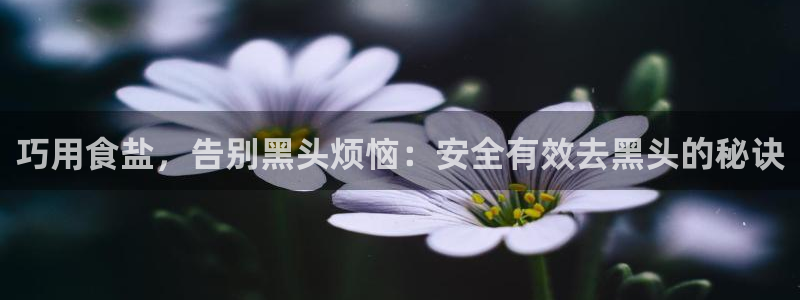 威九国际女孩