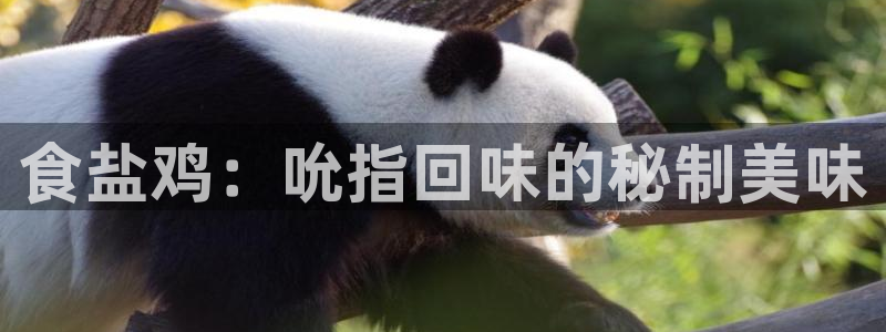 78mapp威九国际成长视频