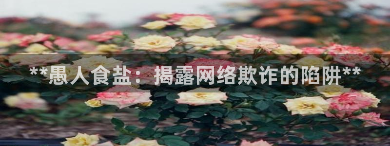 威九国际可以退钱吗怎么退