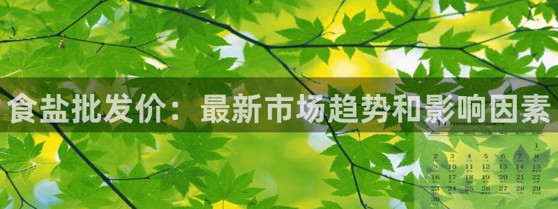 威九国际网站入口官网首页下载