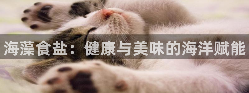 威九国际网站影视