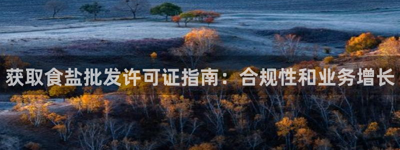 威九国际网站传媒招聘