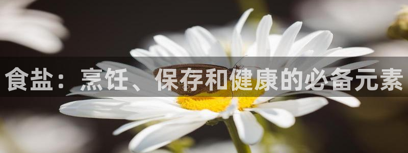 威九国际网站客服电话多少啊