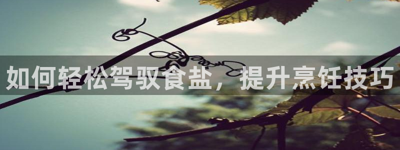 威九国际的金融服务有哪些