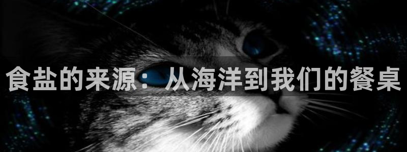 威九国际清砖码头怎么样