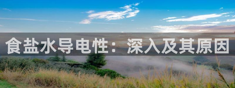 威九国际能提现吗