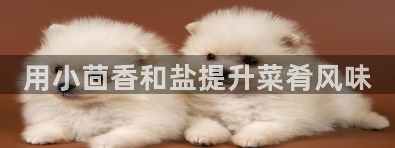 威九国际旗下艺人有谁