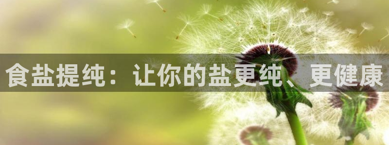 威九国际v96bet官网版