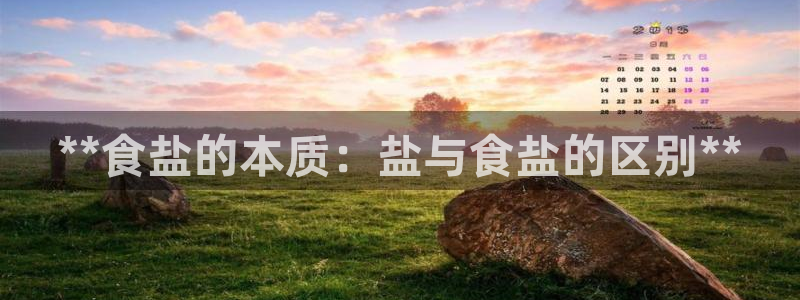 威九国际游戏app(网站)
