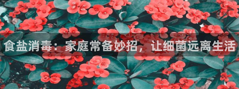 保定威九网络科技有限公司怎么样