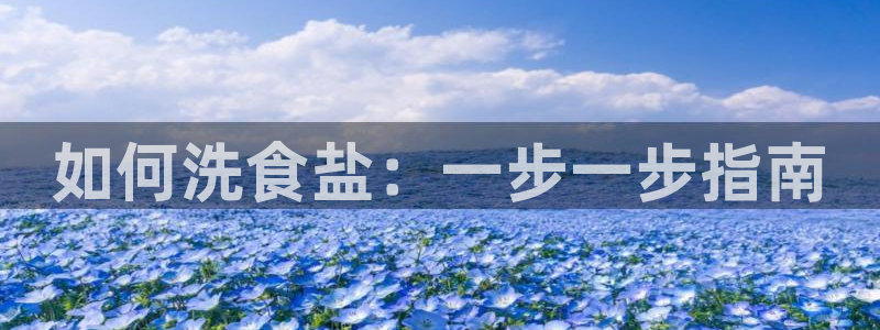 威九国际惠子