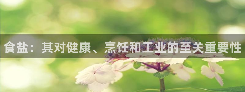 威九国际精