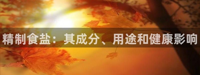 威九国际下载官网app