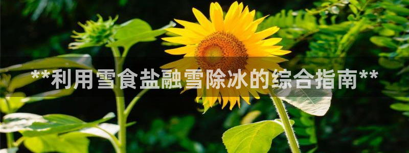 威九国际旗下艺人都有谁