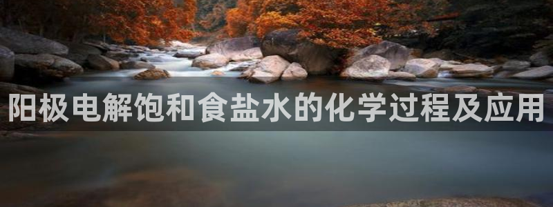 威九国际网站客服电话多少啊