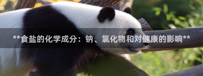 威九国际app入口在哪