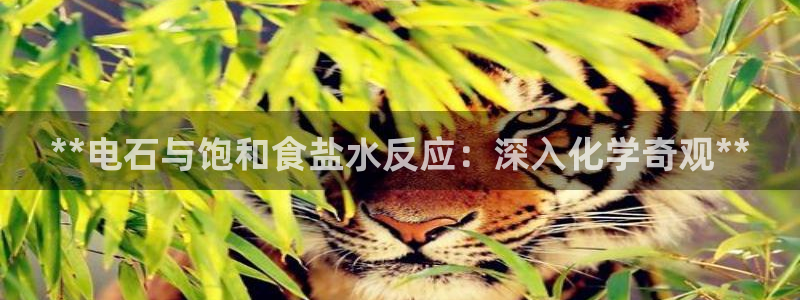 威九国际的金融服务怎么样