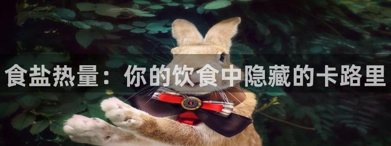 威九国际的金融服务