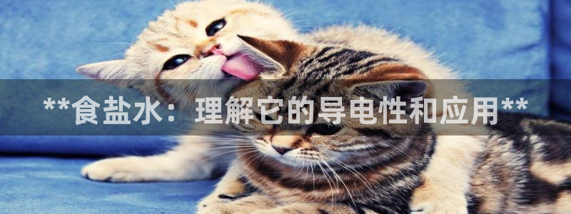 78mapp威九国际成长视频