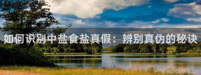 威九国际在哪里