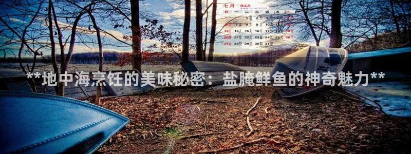 威九国际v9